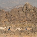Taureg Nomads in Niger
