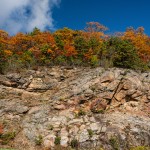 Fall on the Rocks