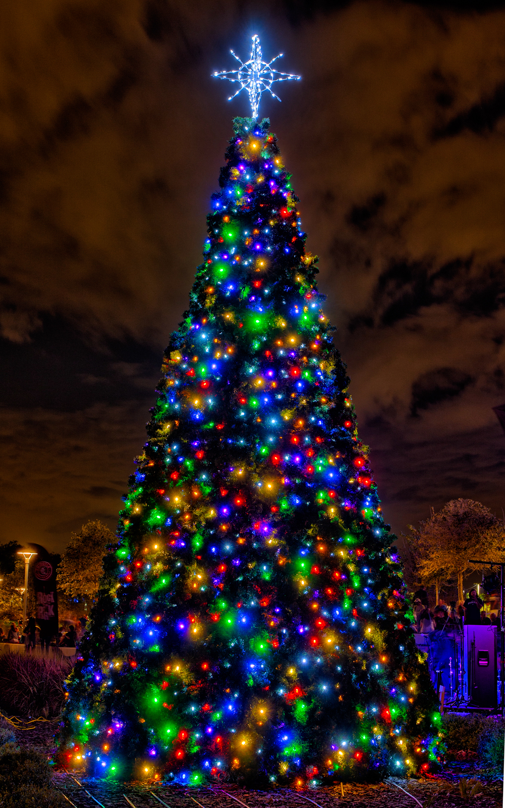 Curtis Hixon Park Christmas Tree