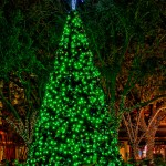 Hyde Park Village Christmas Tree