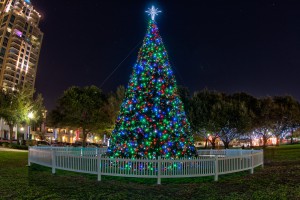 St Petersburg Christmas Tree