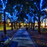Christmas Lights in Lykes Gaslight Park