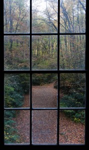 Mingus Mill Window View