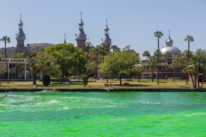 River O'Green and University of Tampa