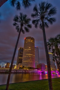 Tampa Dawn Through the Palms