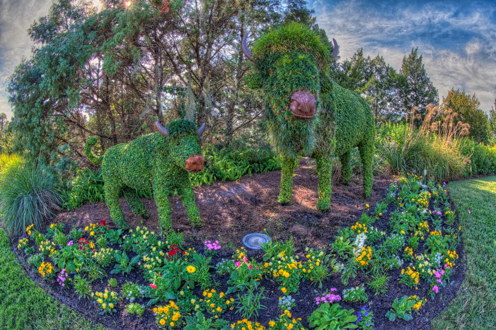 Topiary Buffalo