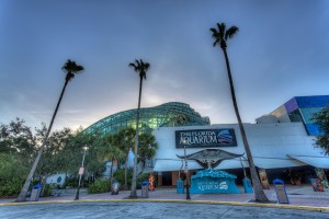 Florida Aquarium Entrance