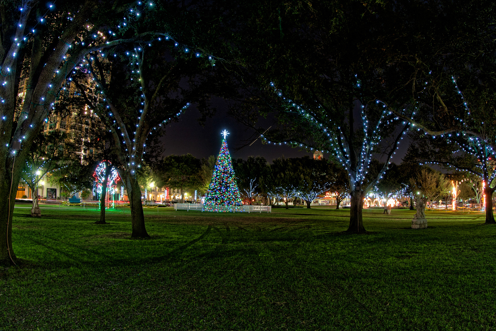 St Petersburg Christmas Tree and Lights