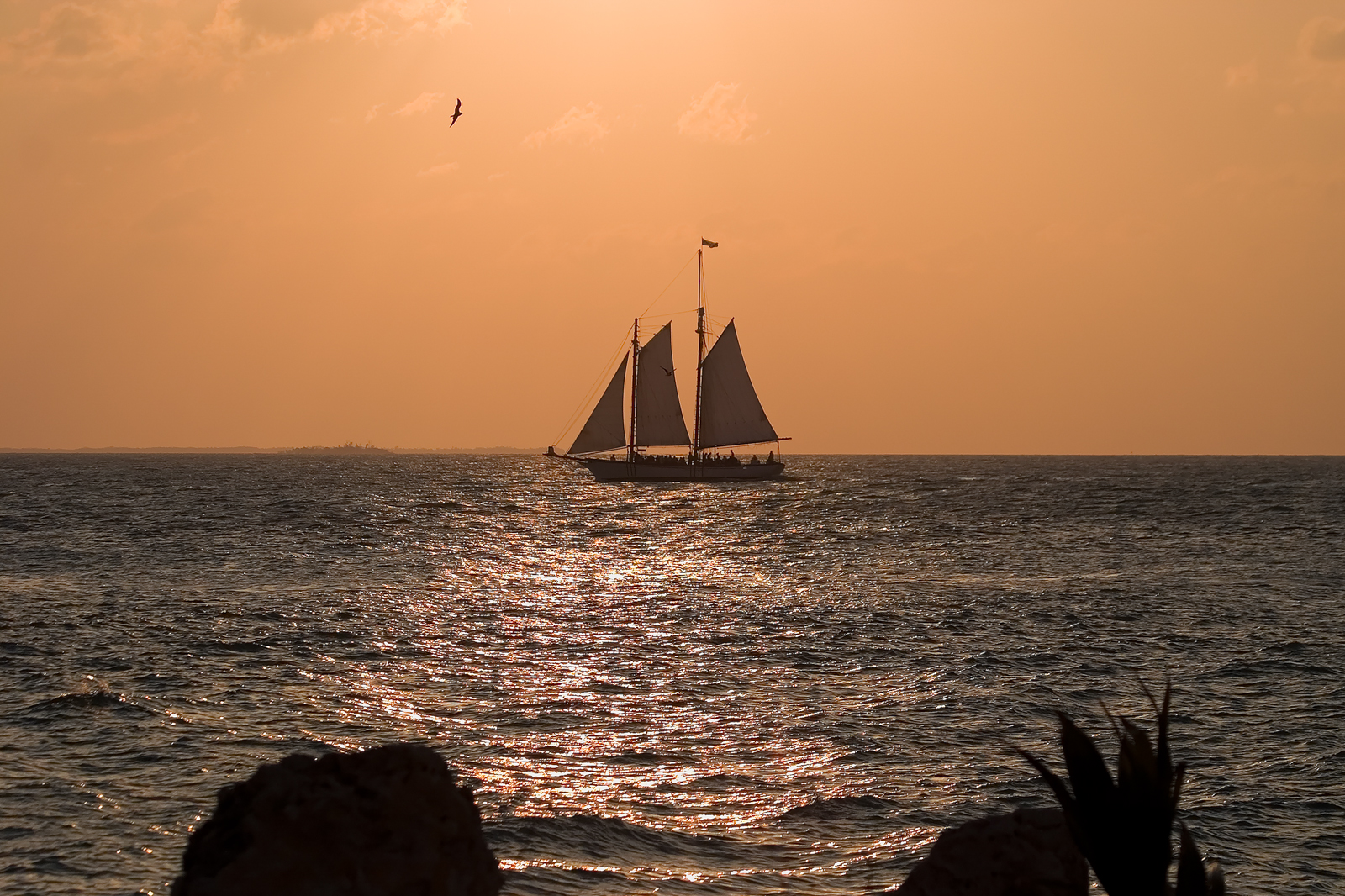 Key West Sailboat Sunset