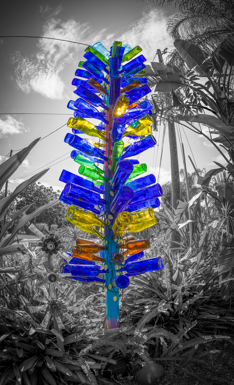 Whimzeyland Selective color Bottle Tree