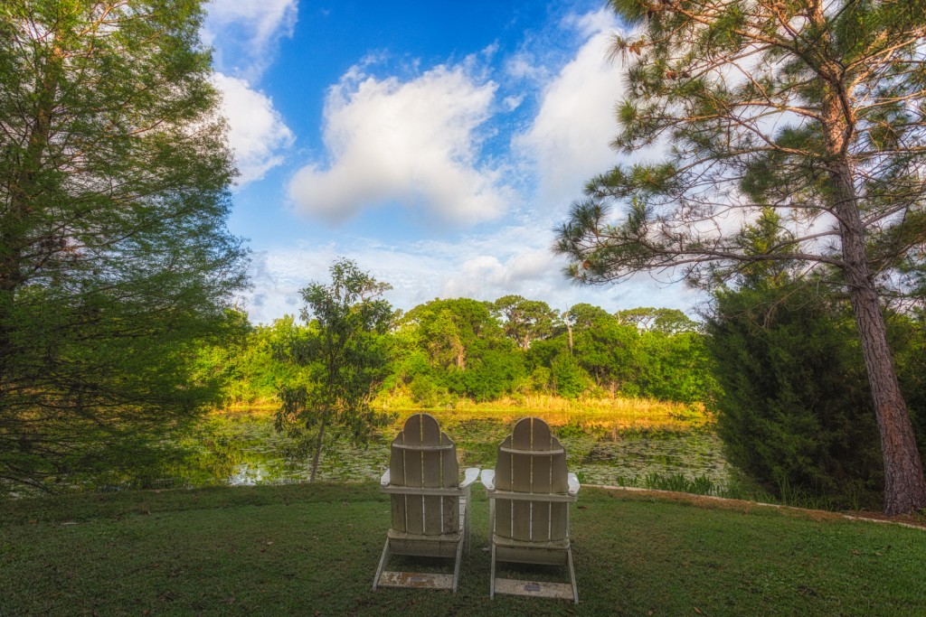 View Across the River, Florida Botanical Gardens, Largo, Florida