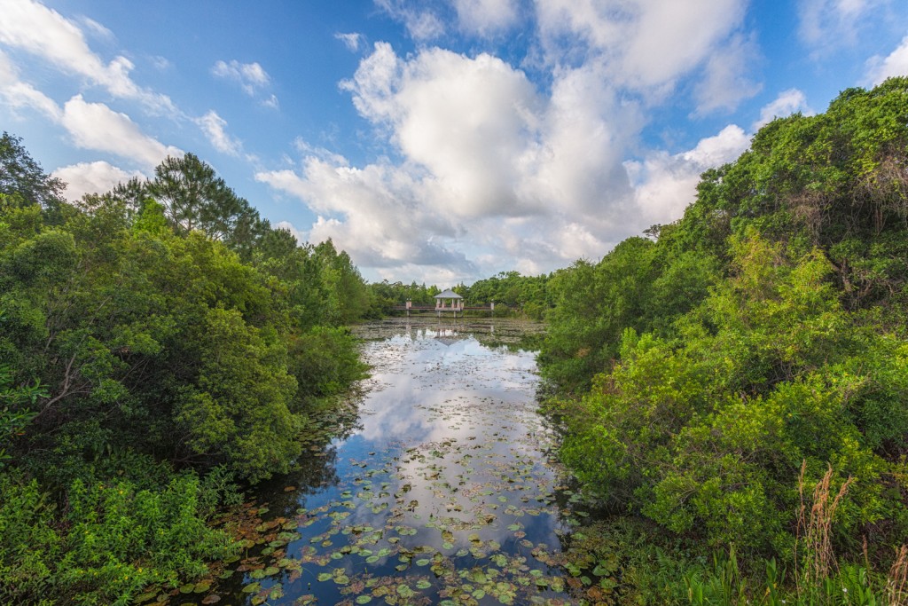 Canal and Bridge - Florida Botanical Gardens - Largo, Florida