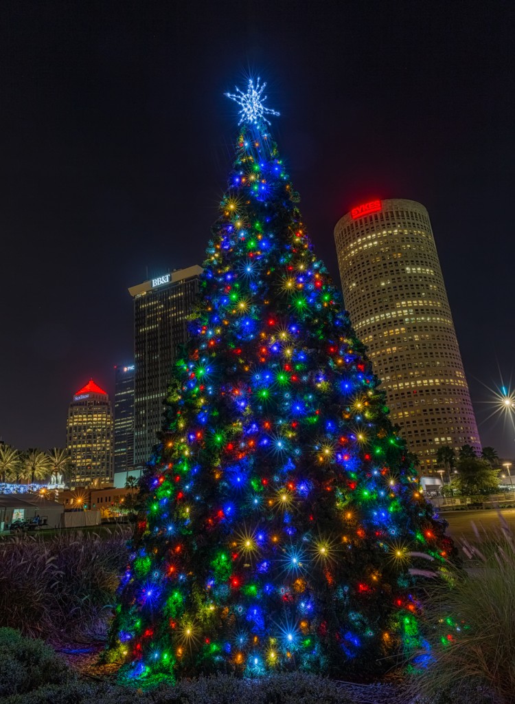 Curtis Hixon Park Christmas Tree, Tampa, Florida