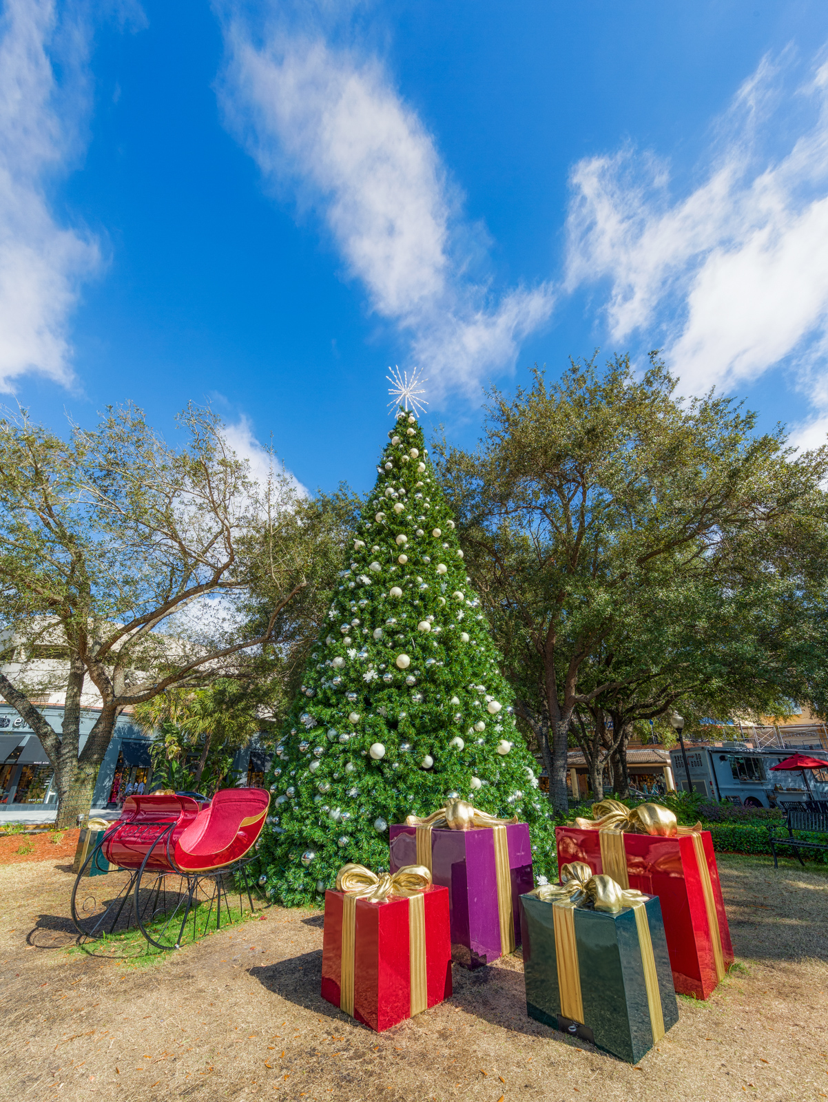 Hyde Park Village Christmas Tree Vertical 2, Tampa, Florida