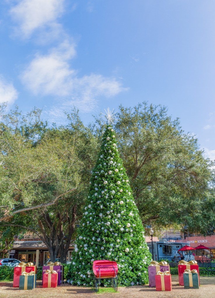Hyde Park Village Christmas Tree Vertical, Tampa, Florida