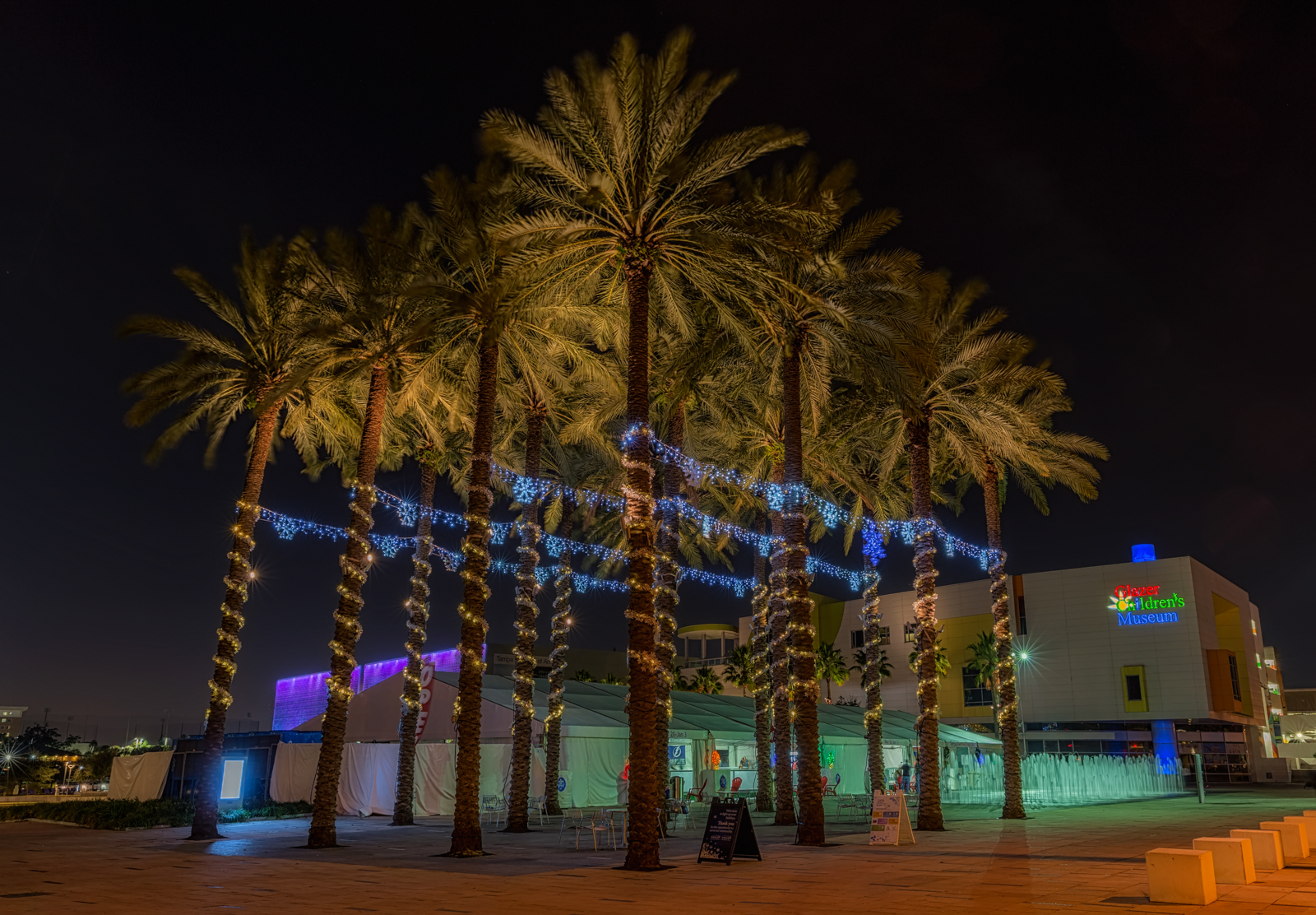 Palm Tree Christmas Lights, Tampa, Florida