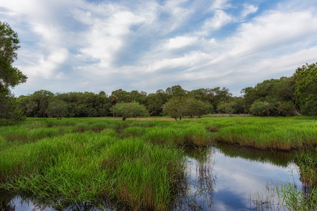 Sky and Reflection, Myakka River State Park, Sarasota, Florida