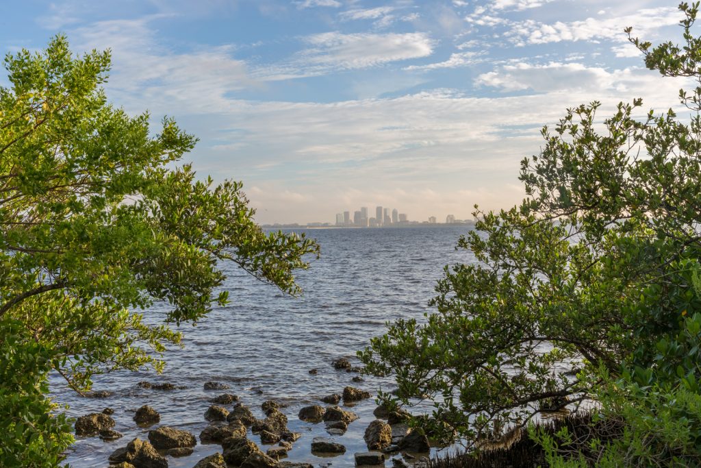 Tampa from Ballast Point Park, Tampa, Florida