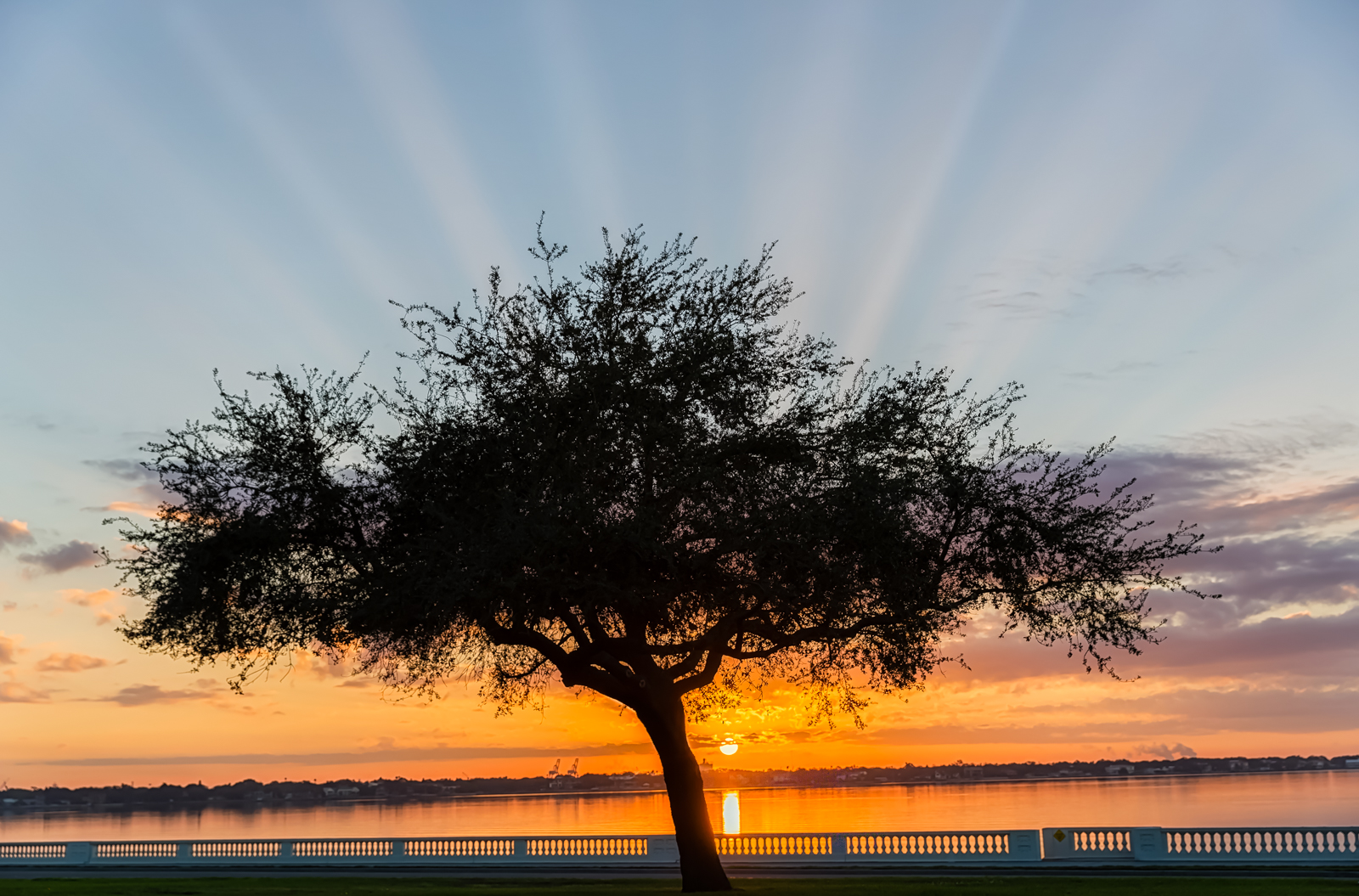 Bayshore Sunrise with Crepuscular Rays, Tampa, Florida