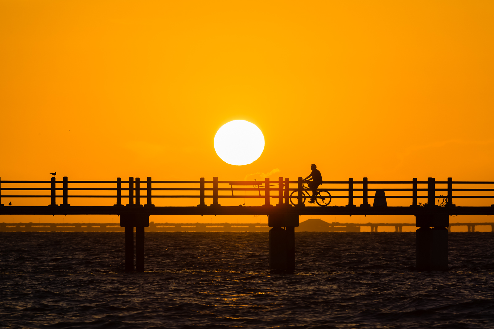 Biker Silhouette at Sunrise on Bay Pier, Fort Desoto, Tierra Verde, Florida