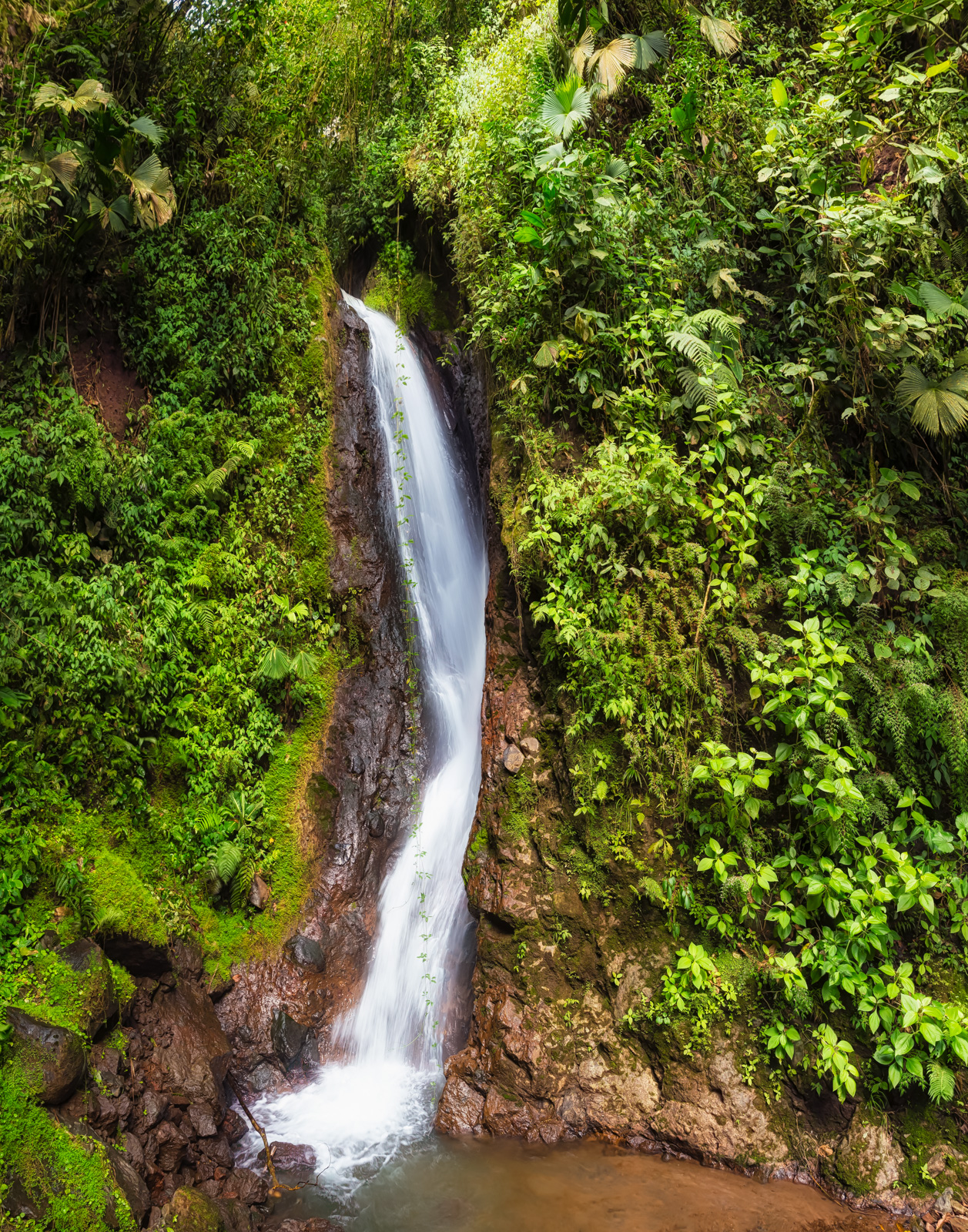Costa Rica Waterfall, Mistico Arenal Hanging Bridges Park, La Fortuna, Costa Rica
