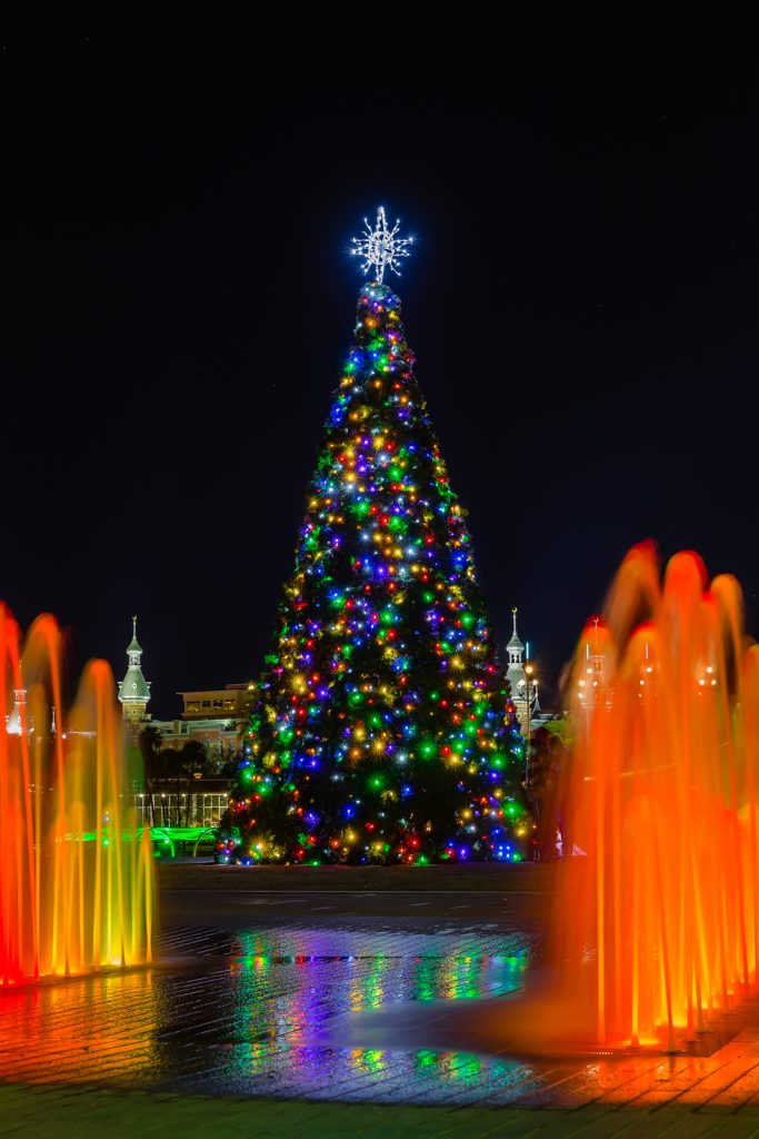 Tampa Christmas Tree Between the Fountains Vertical, Tampa, Florida