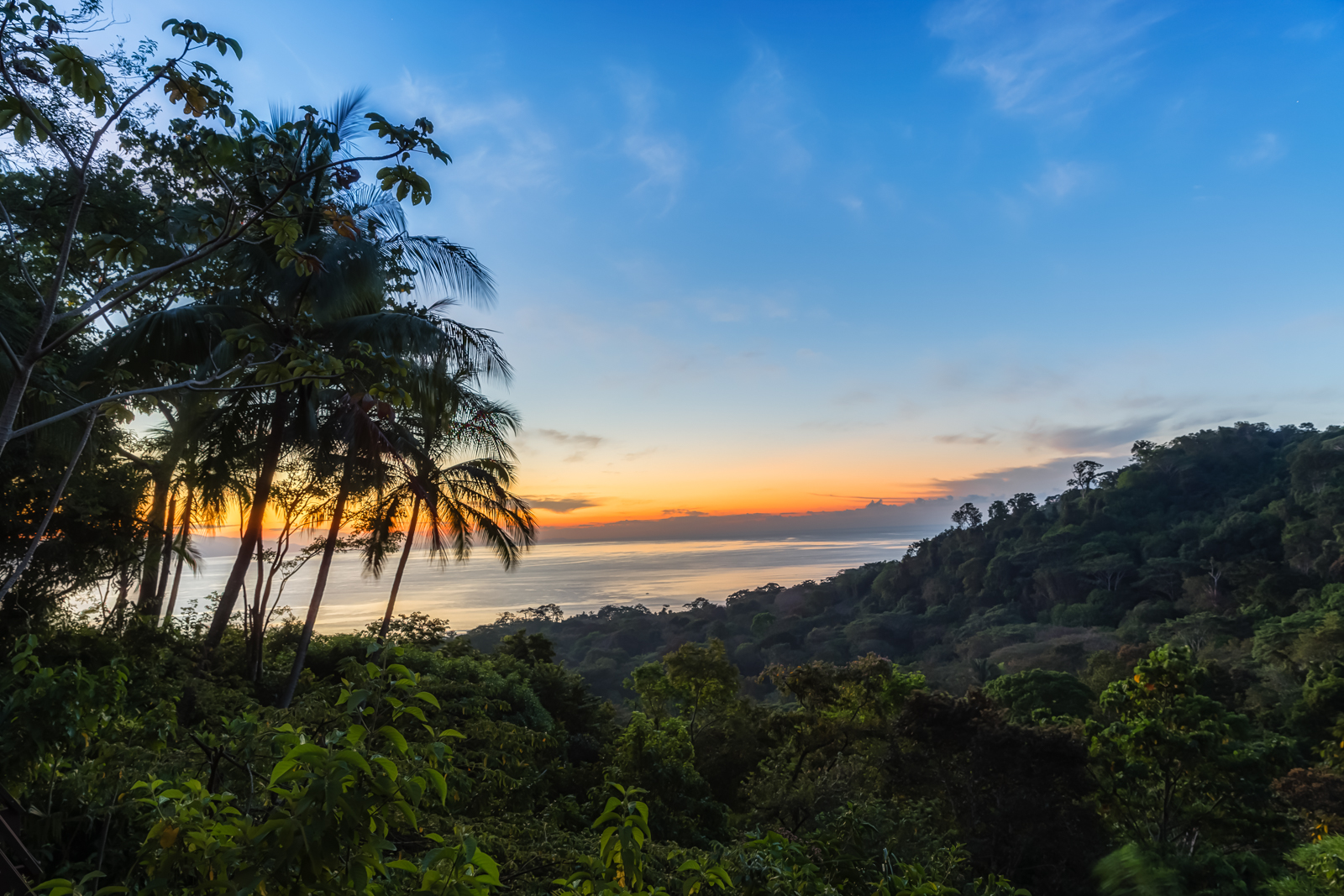 Jungle Sunrise at Lapa Rios, Lapa Rios Ecolodge, Osa Peninsula, Costa Rica