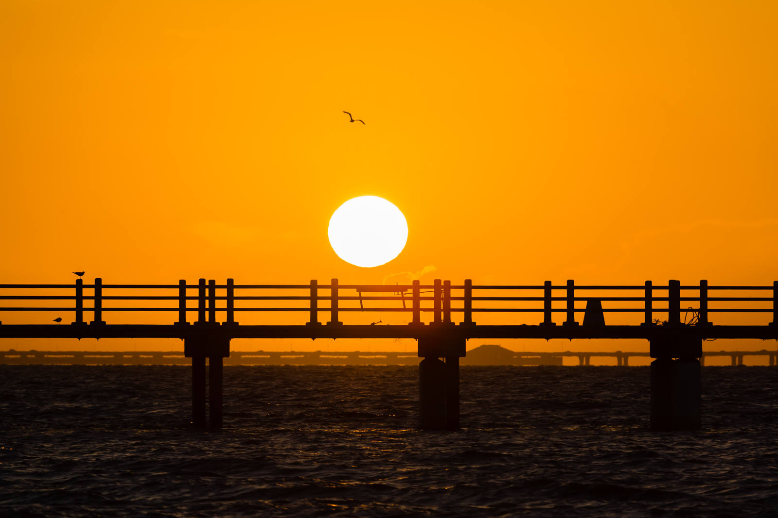 Full Sunrise over Bay Pier at Fort Desoto, Tierra Verde, Florida
