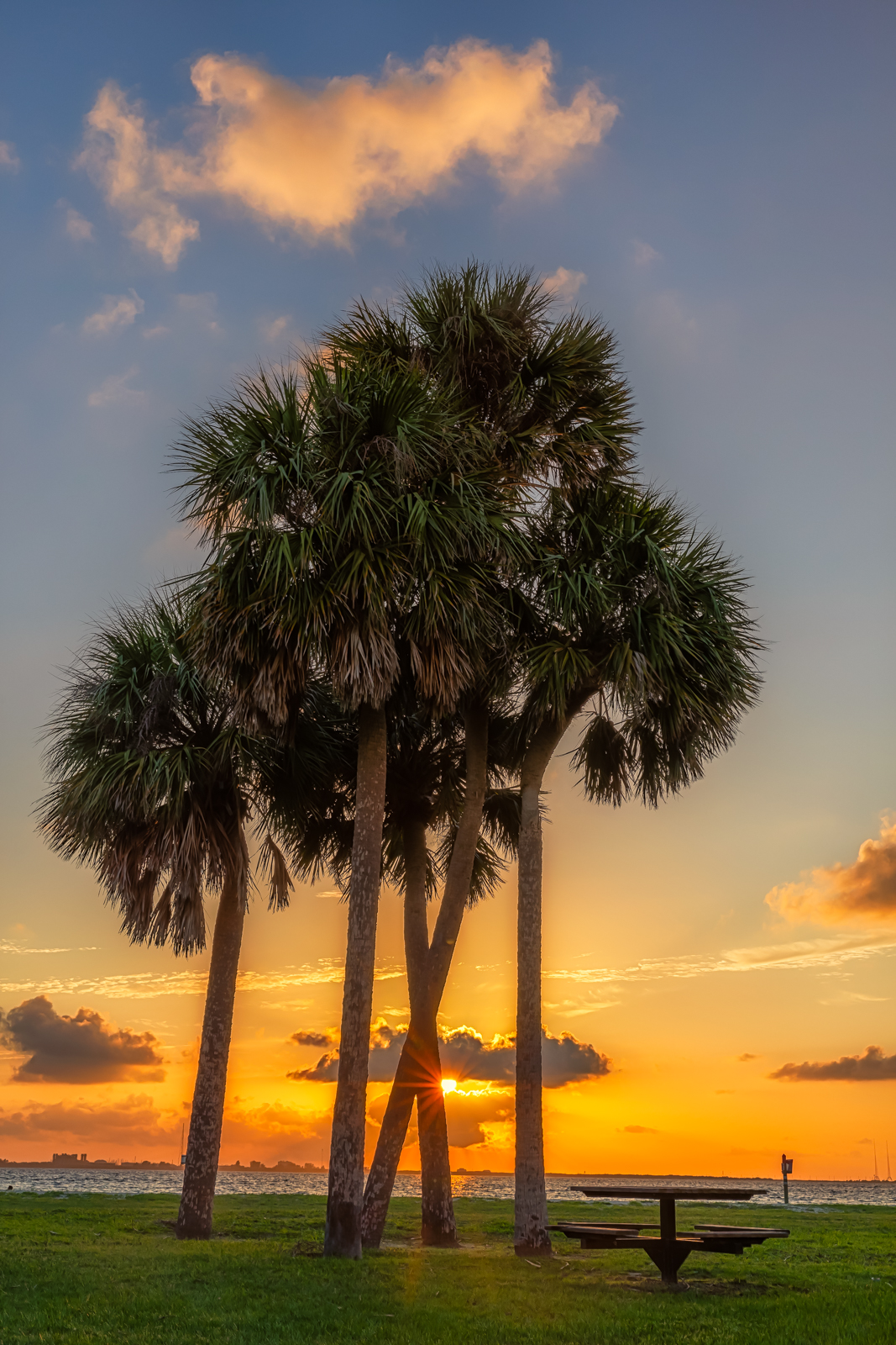 Crossing Palms Sunburst, Tampa, Florida