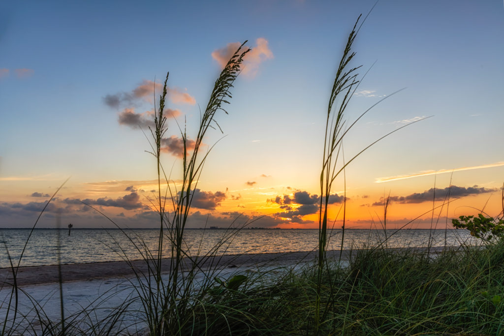 Picnic Island Seagrass Sunset, Tampa, Florida