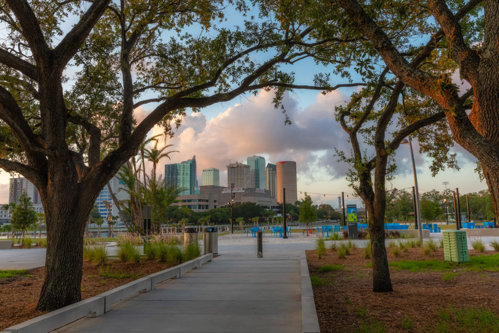 Downtown Tampa Framed by Oaks at Julian Lane Park, Tampa, Florida
