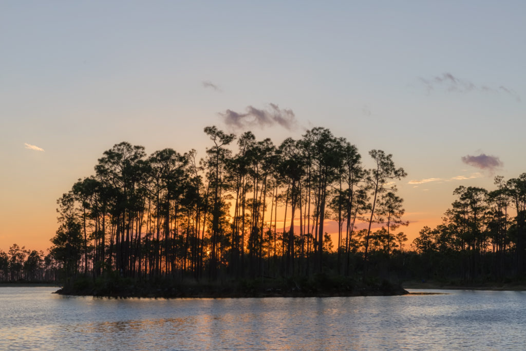 Long Pine Key Lake Sunset Tight 2, Everglades National Park, Florida