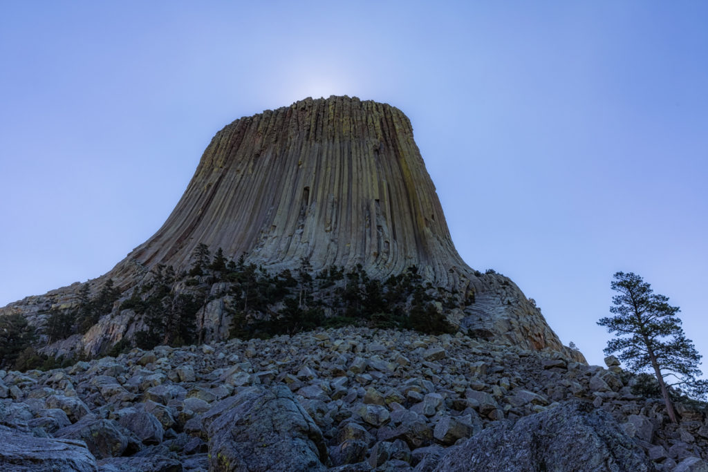 Devils Tower and Tree, Devil's Tower National Monument, Wyoming