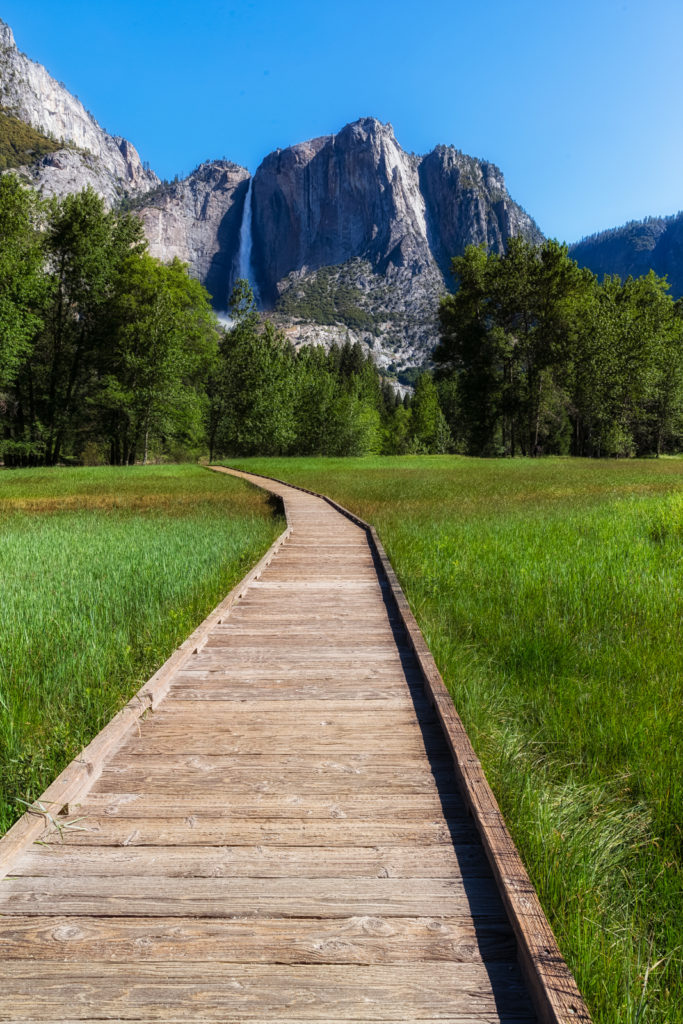 Pathway through Yosemite Valley, Yosemite National Park, California