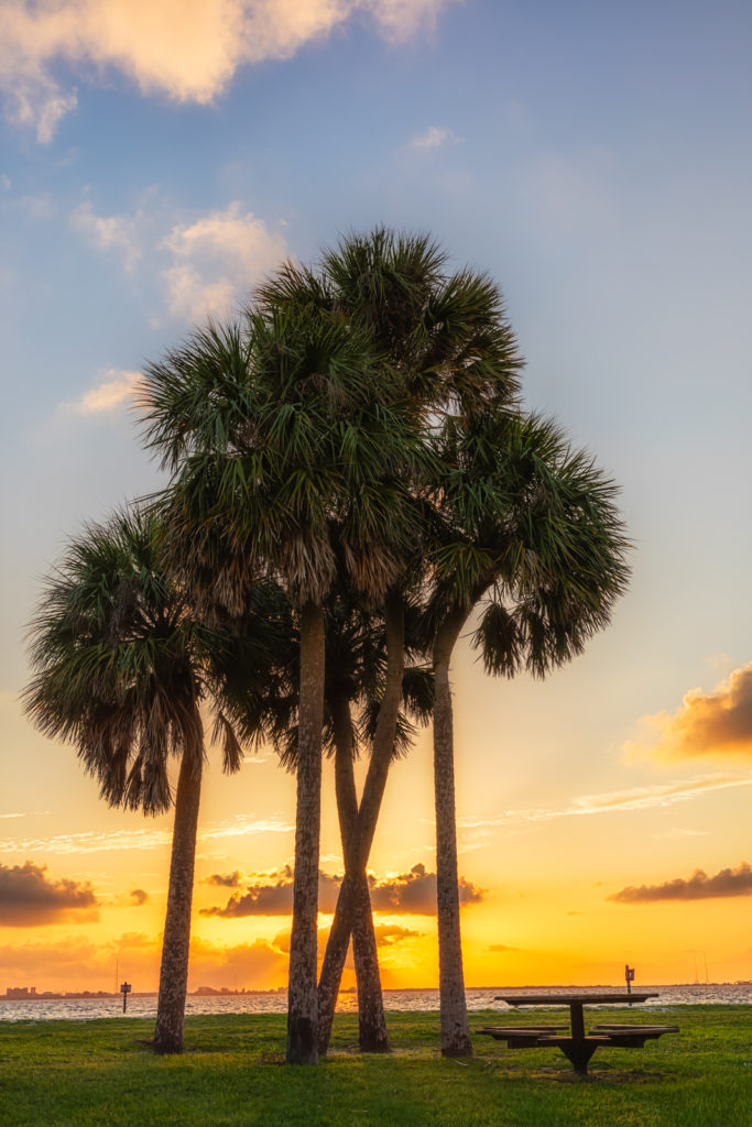 Crossing Palms Sunset, Tampa, Florida
