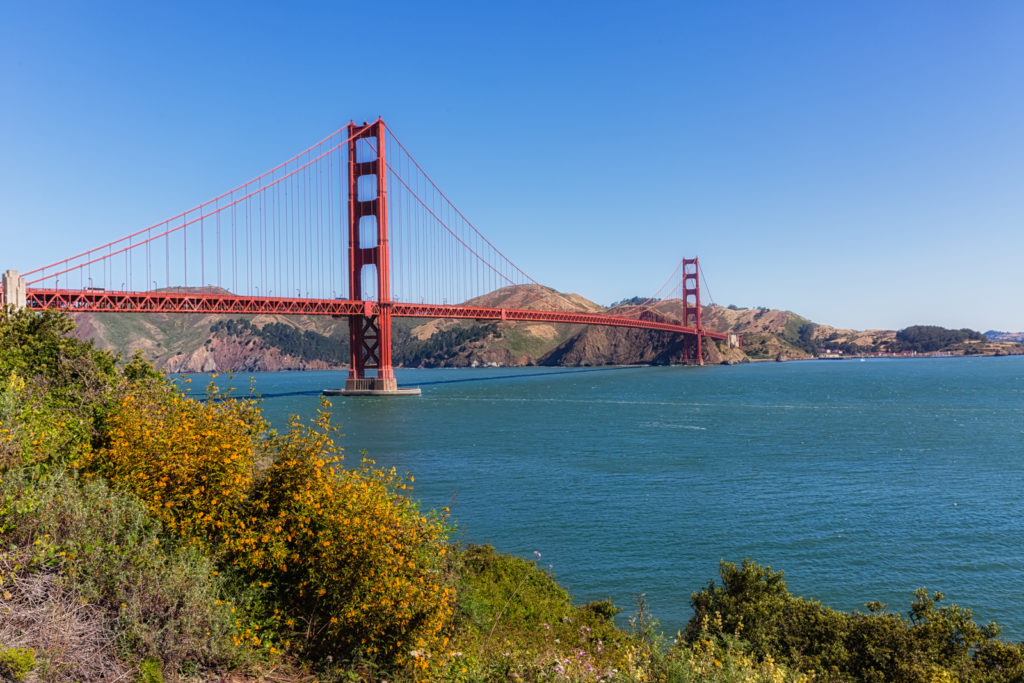 Golden Gate Bridge with Flowers, San Francisco, California