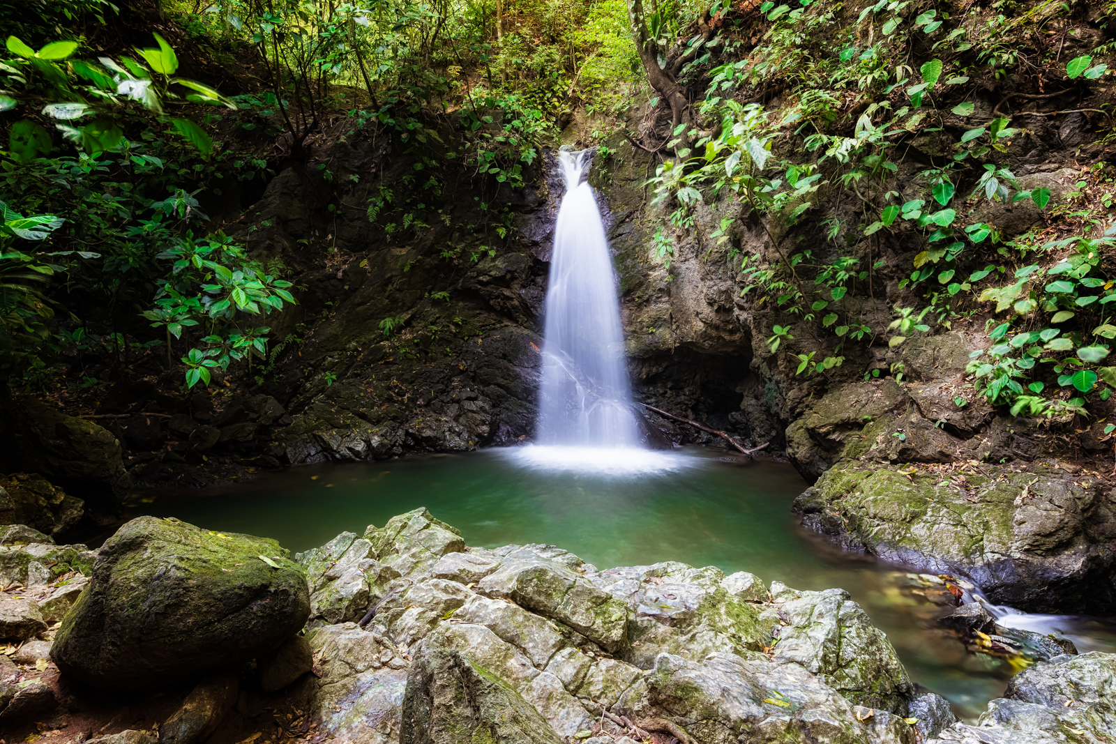 Lapa Rios Waterfall, Lapa Rios Ecolodge, Osa Peninsula, Costa Rica