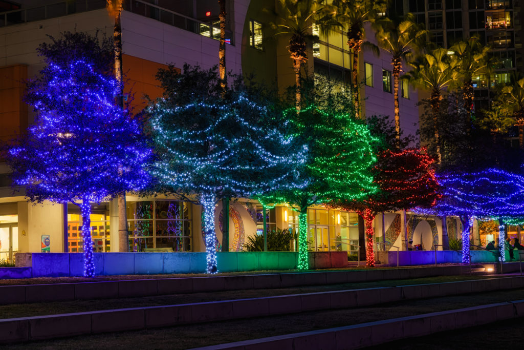 Christmas Lights in the Park, Tampa, Florida