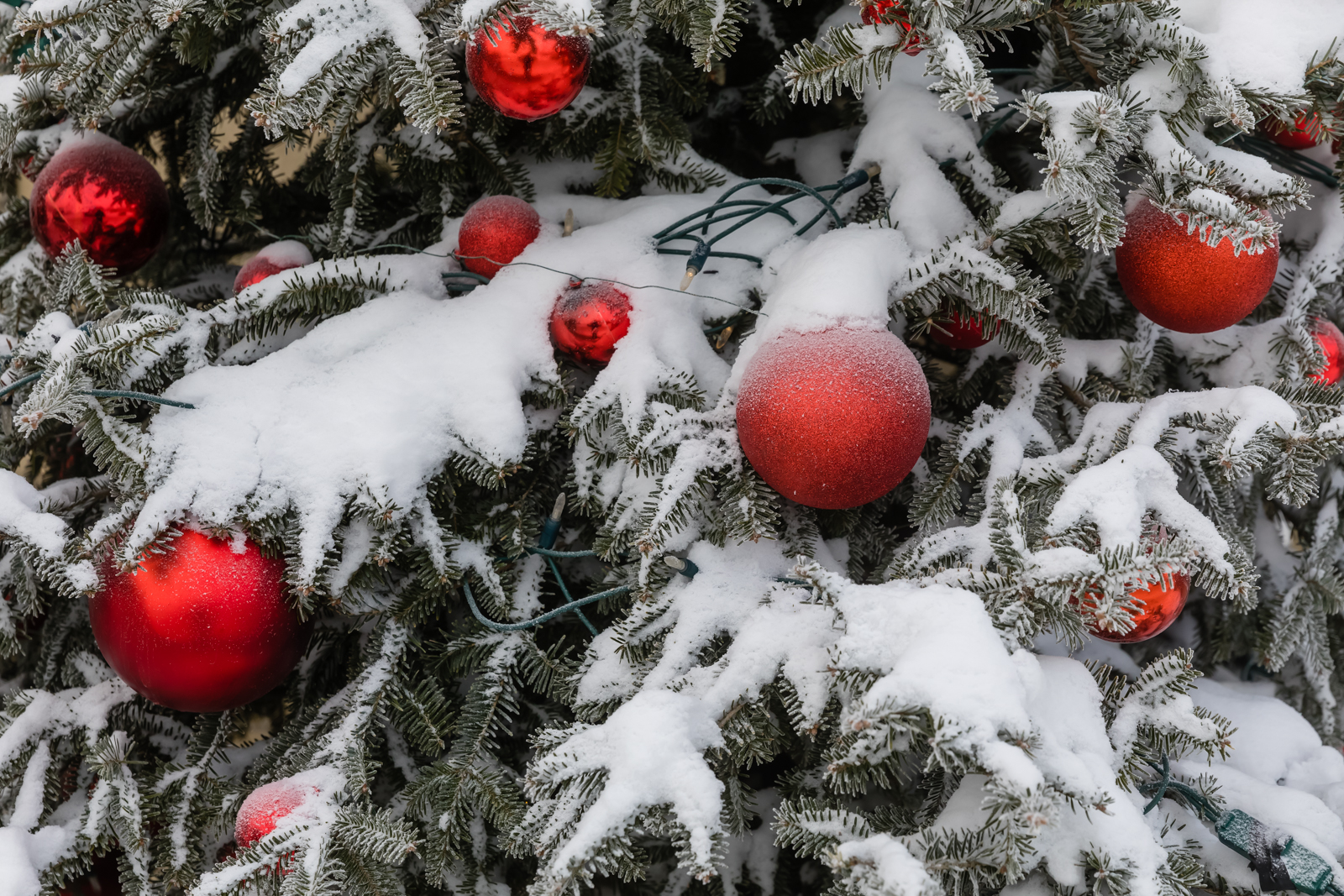 Ornaments and Snow, Quebec City, Quebec, Canada
