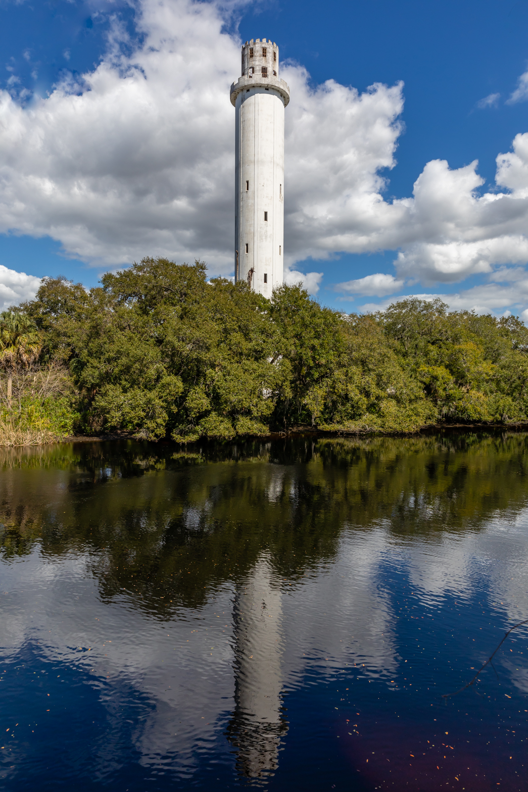 Sulphur Springs Water Tower Vertical, Tampa, Florida