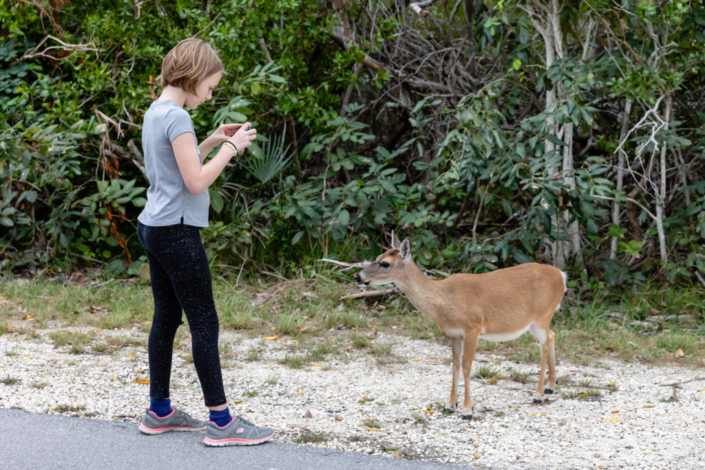 Daughter with Key Deer