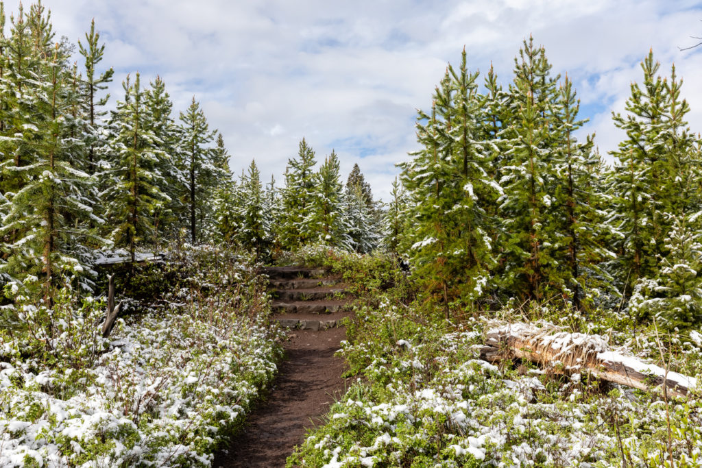 Wraith Falls Trail in Snow