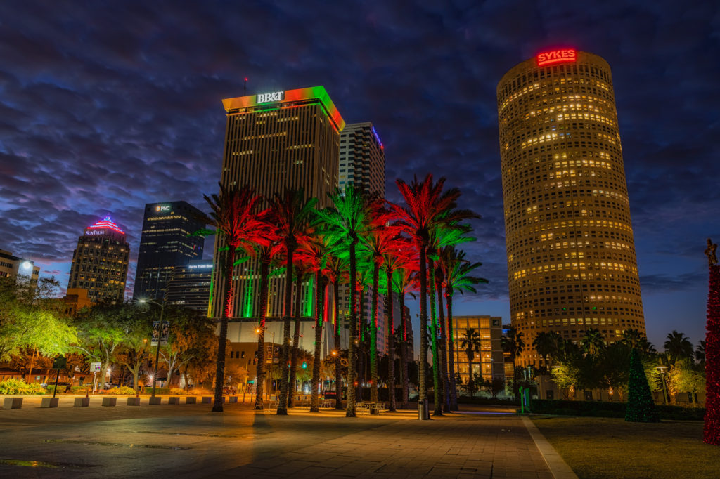 Christmas Palms and Tampa Skyline