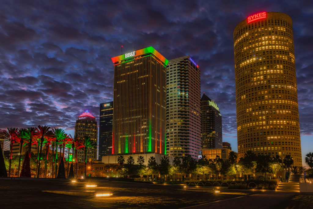 Christmas Palms and Tampa Skyline 2