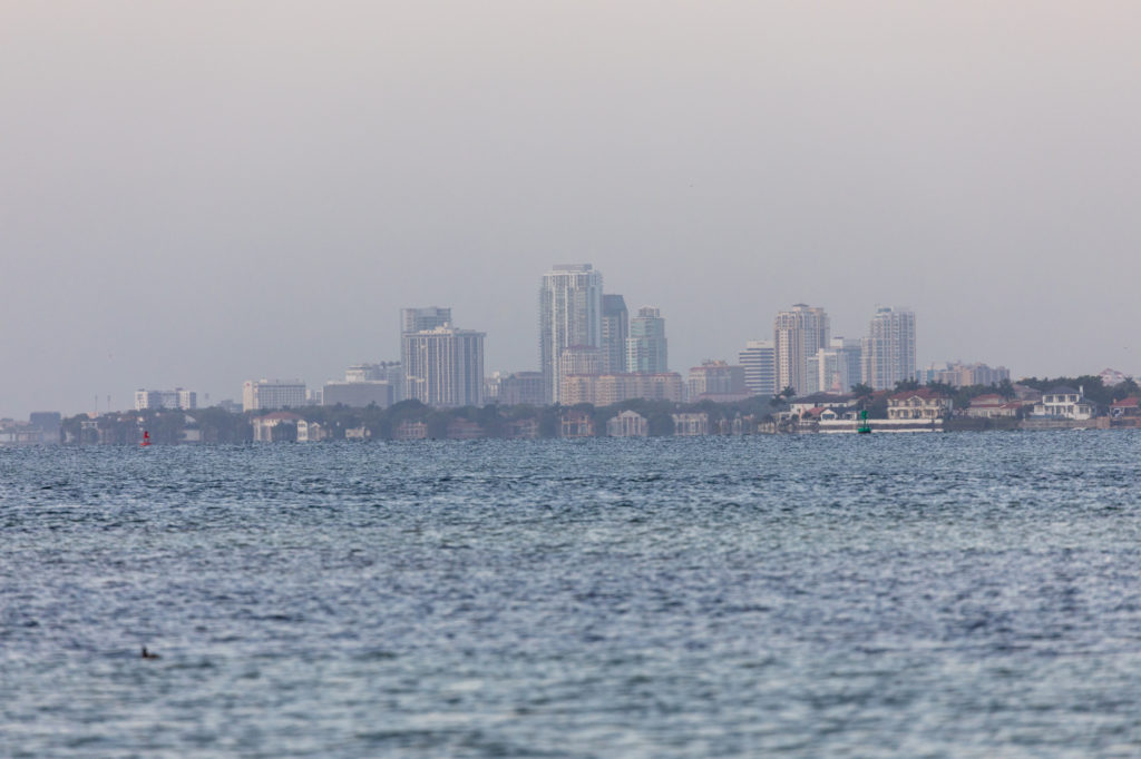 St Pete from Picnic Island