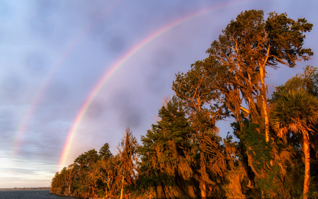 Cypress Rainbows at Sunrise