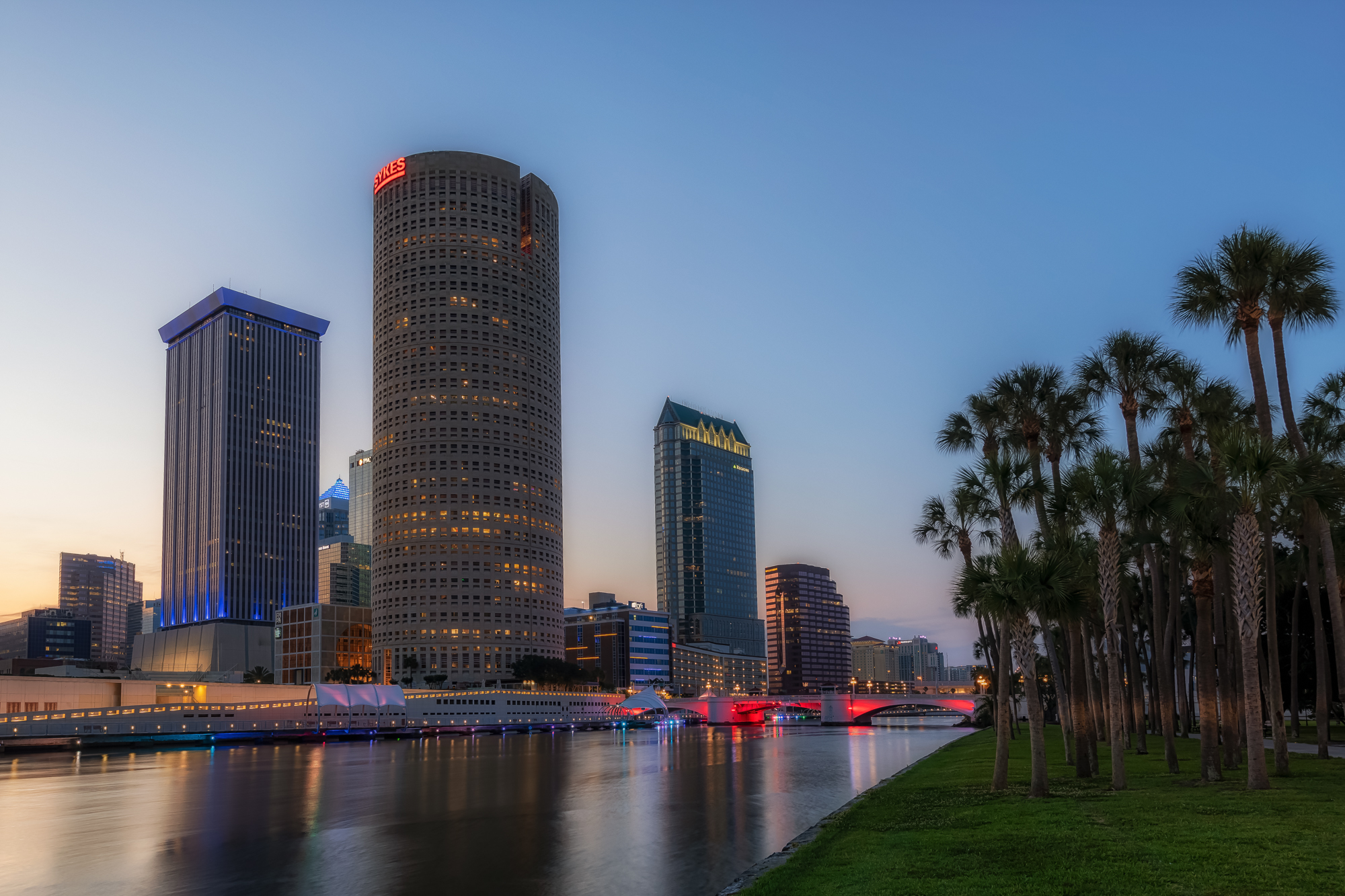 Tampa and Palm Trees