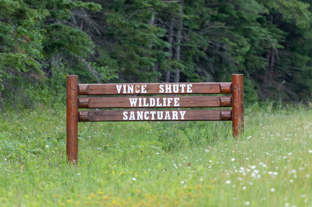 Vince Shute Wildlife Sanctuary