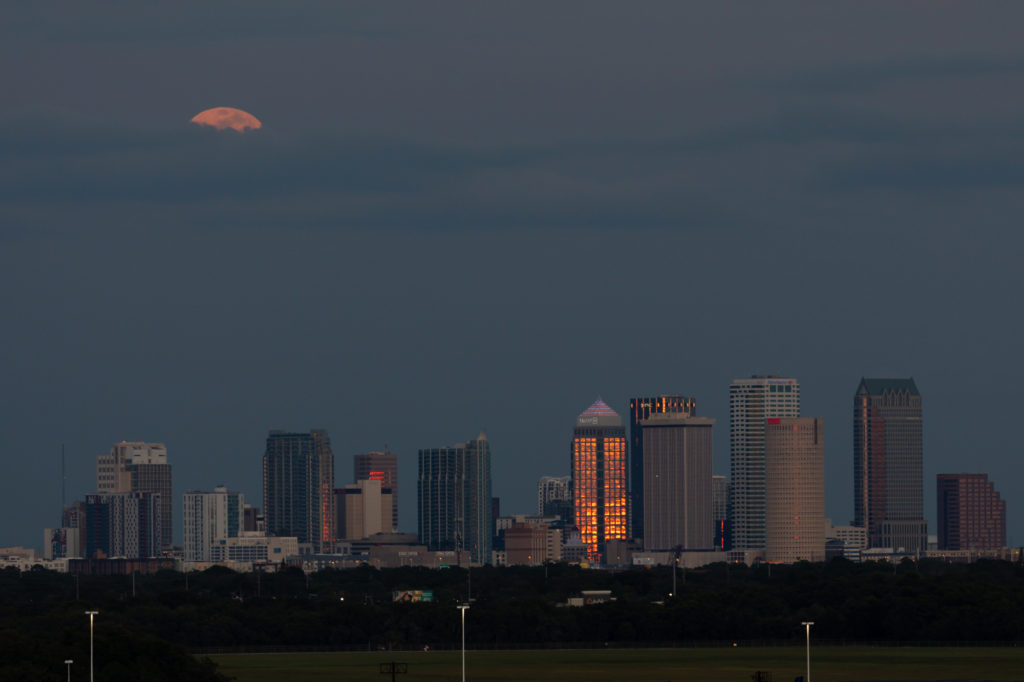 Super Flower Blood Moon Rising Over Tampa (1)