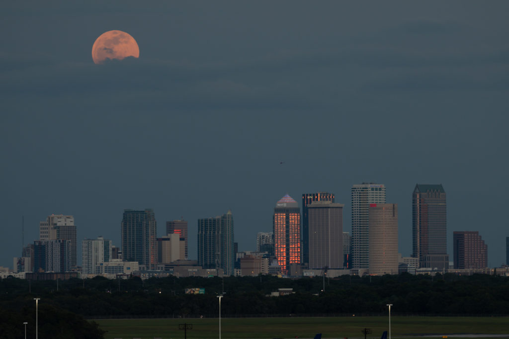 Super Flower Blood Moon Rising Over Tampa (2)